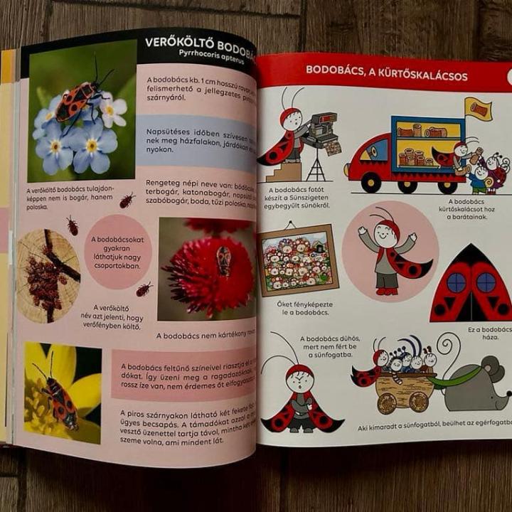 Bogyó és Babóca - Ki kicsoda? - A sorozat szereplői a természetben