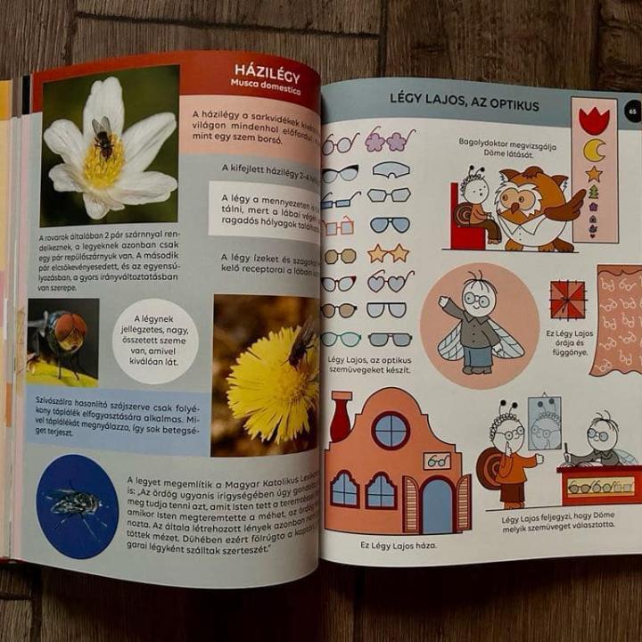 Bogyó és Babóca - Ki kicsoda? - A sorozat szereplői a természetben