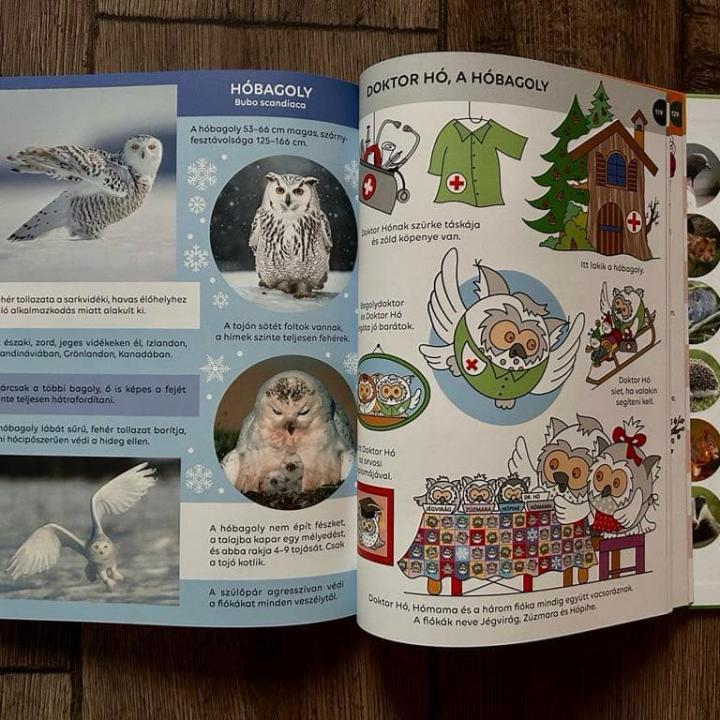 Bogyó és Babóca - Ki kicsoda? - A sorozat szereplői a természetben