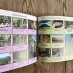 Nyugati karéj Brúnó a Balatonon 3.