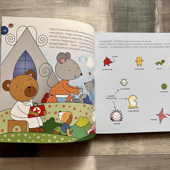 Gyógypuszi - Kék könyv - tavaszi és nyári mesék