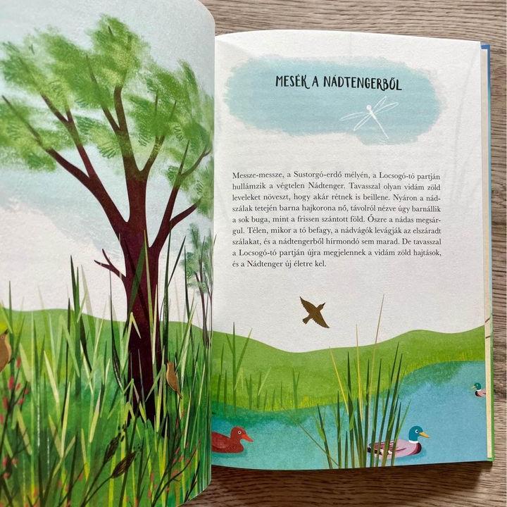 Lengemesék 1. - Tavasz a Nádtengeren