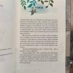 Lengemesék 7. - Vilkó hazatér