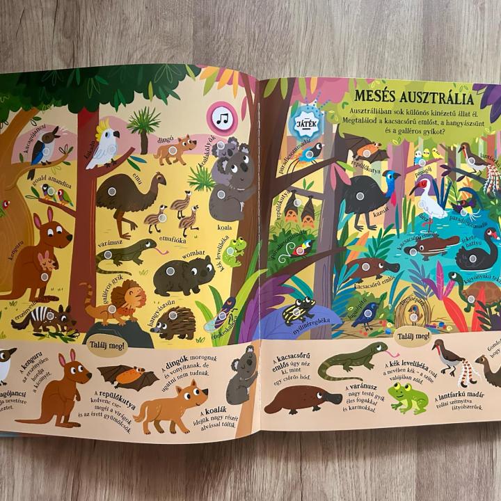 Találj meg! - Csodálatos állatok