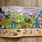 Találj meg! - Csodálatos állatok