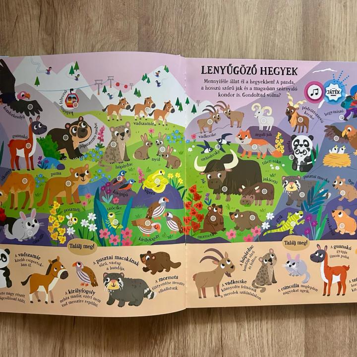 Találj meg! - Csodálatos állatok