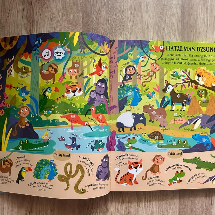 Találj meg! - Csodálatos állatok