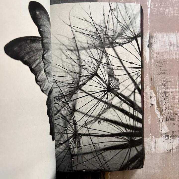 Elítéltek - Éldekorált kiadás