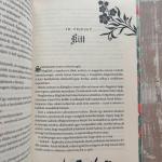 Reckless - A vakmerő