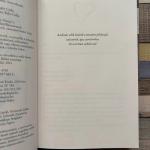 A Thousand Boy Kisses - Ezer csók