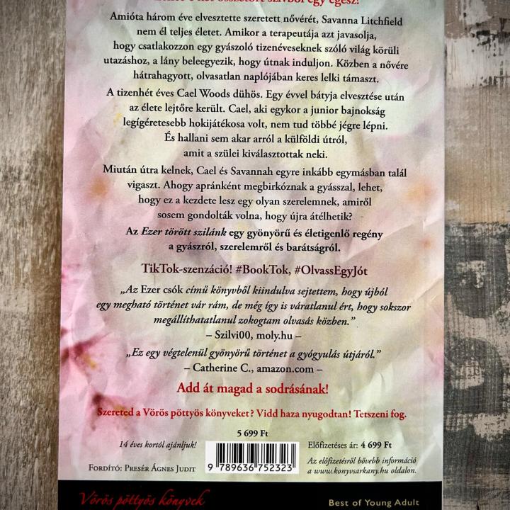 A Thousand Broken Pieces - Ezer törött szilánk