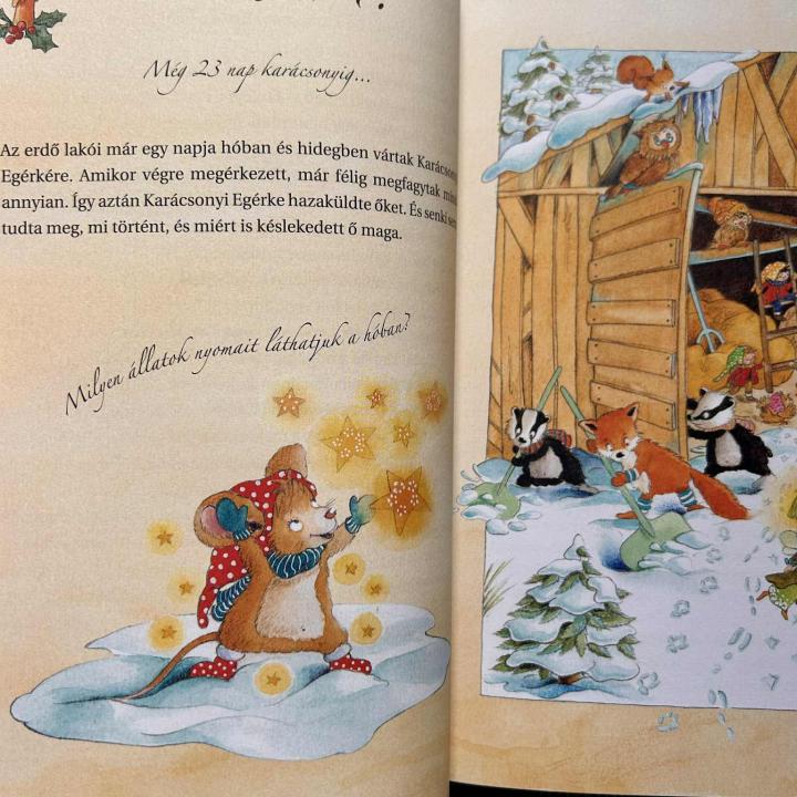 Mesék karácsonyig (Egy mese advent minden napjára)