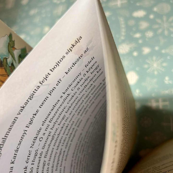 Mesék karácsonyig (Egy mese advent minden napjára)