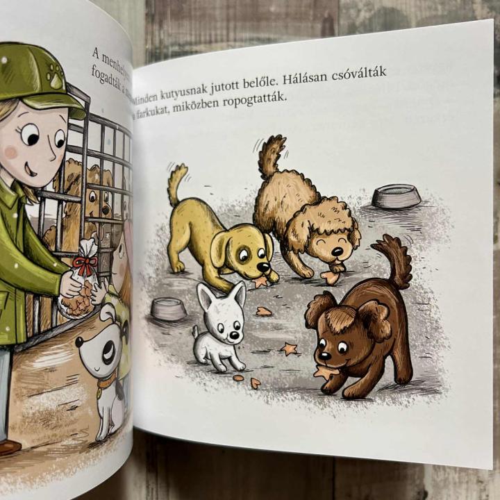 Pitypang és a mézeskalács - Pitypang és Lili