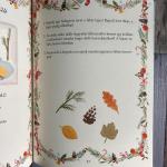 Nyúl Péter adventi kalendáriuma