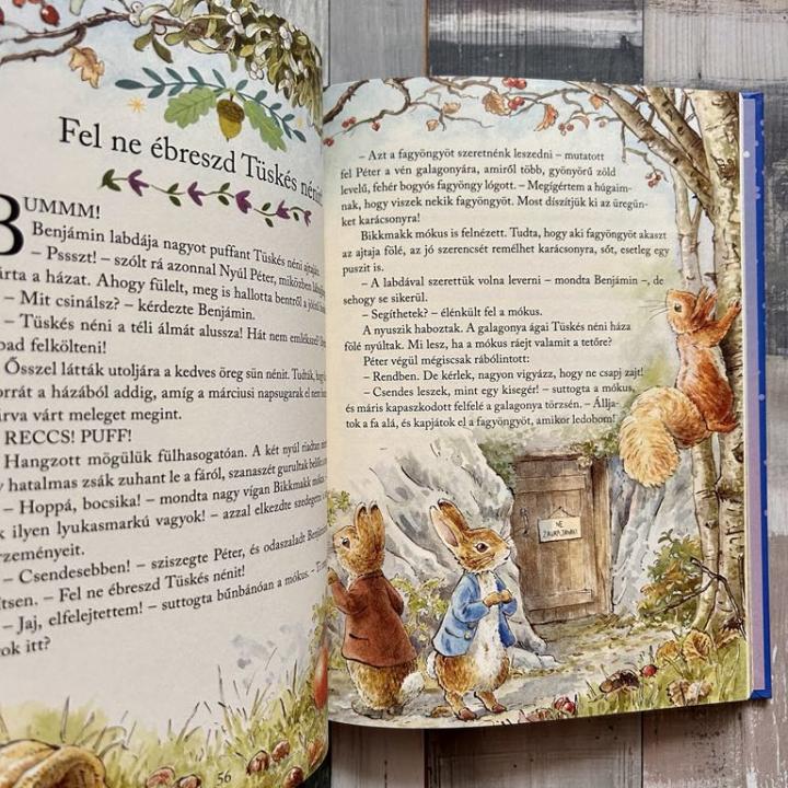 Nyúl Péter világa - Esti mesék