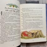 Nyúl Péter világa - Esti mesék