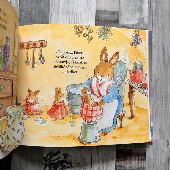 Nyúl Péter világa - Esti nyuszivadászat