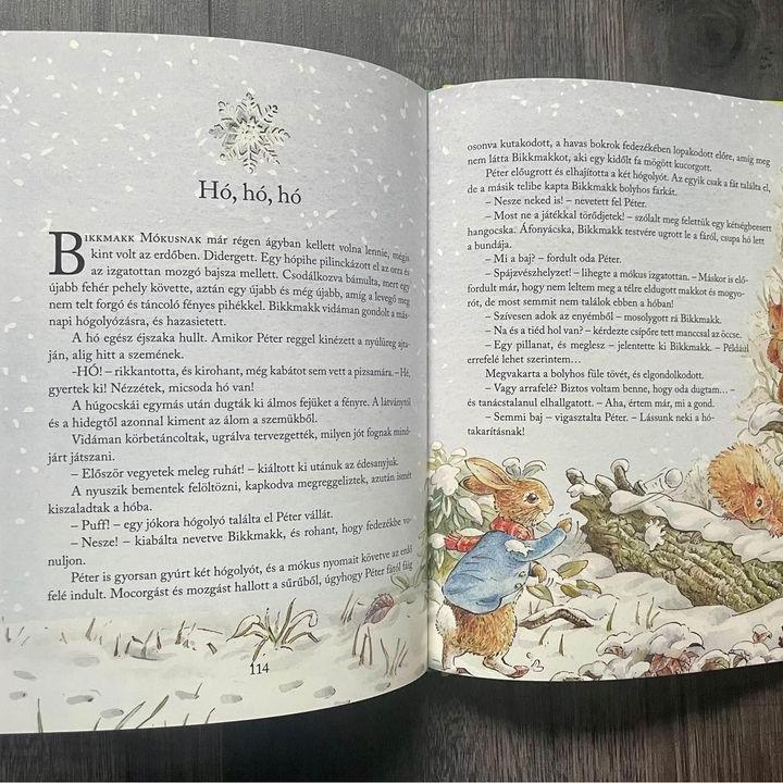 Nyúl Péter világa - Mesék minden évszakra