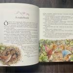 Nyúl Péter világa - Mesék minden évszakra