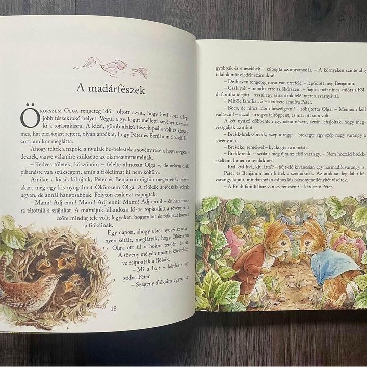 Nyúl Péter világa - Mesék minden évszakra