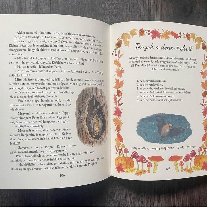 Nyúl Péter világa - Mesék minden évszakra