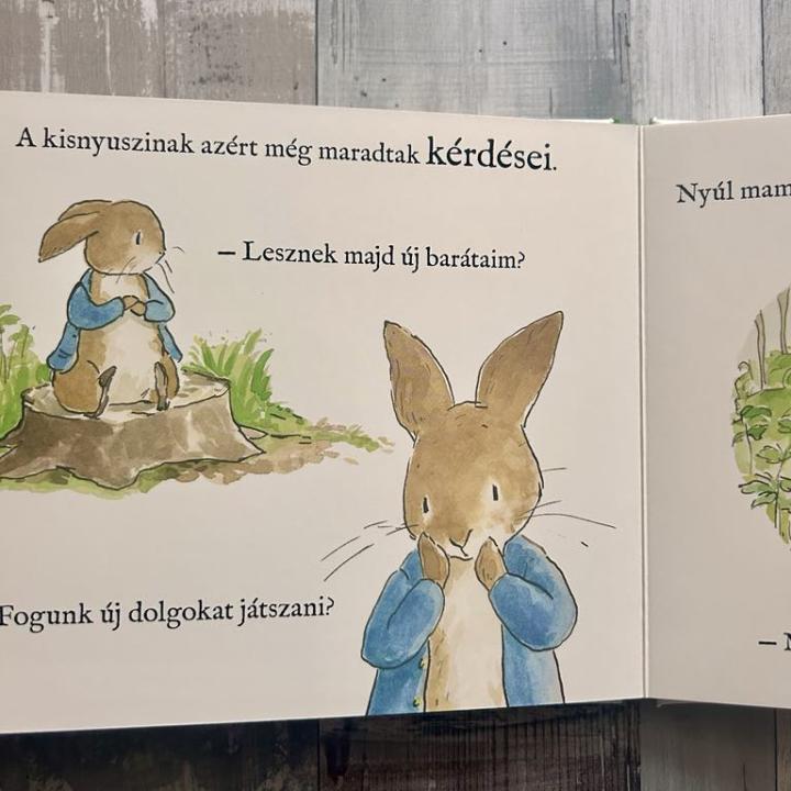 Nyúl Péter világa – Vár az ovi!