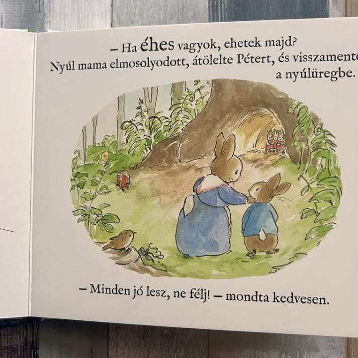 Nyúl Péter világa – Vár az ovi!