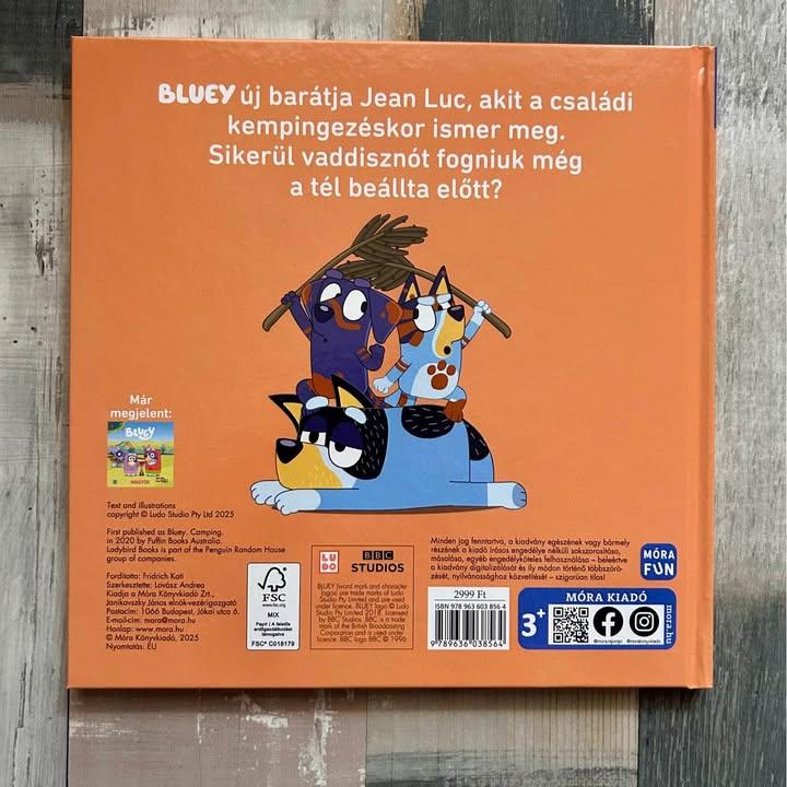 Bluey - Kemping
