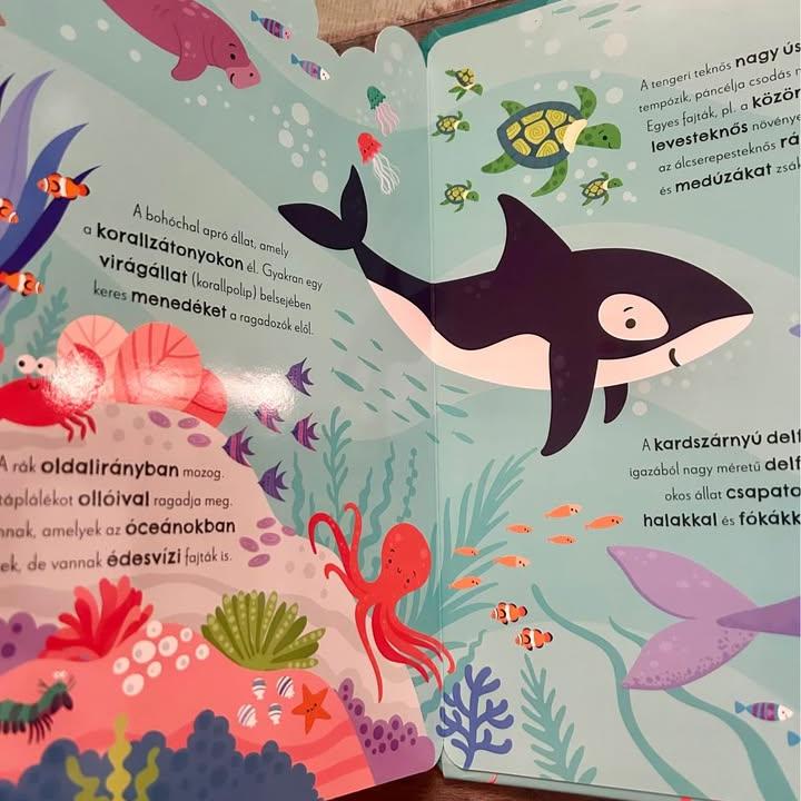 Első állathangjaim - Angol-magyar hangmodulos könyv