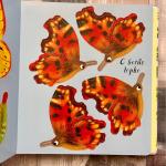 Vadonatúj Pillangót szárnyáról