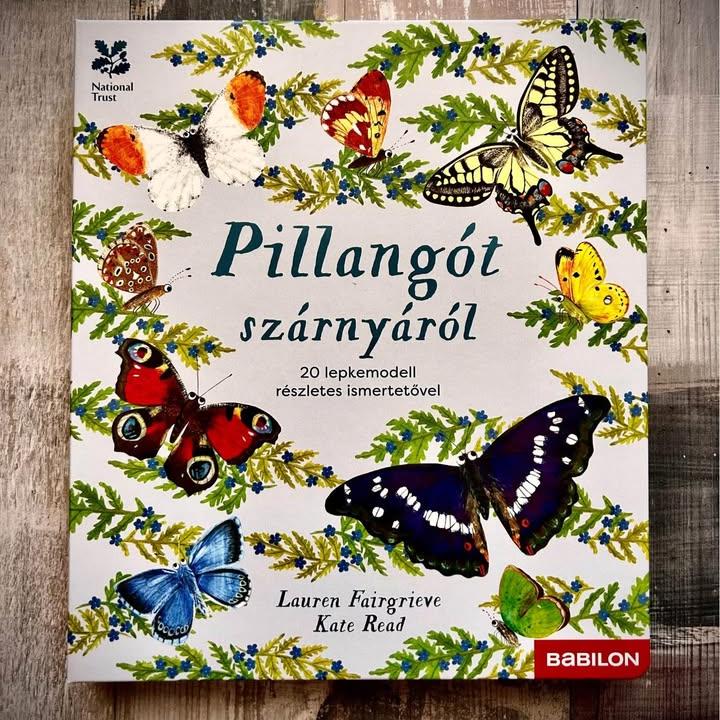Vadonatúj Pillangót szárnyáról