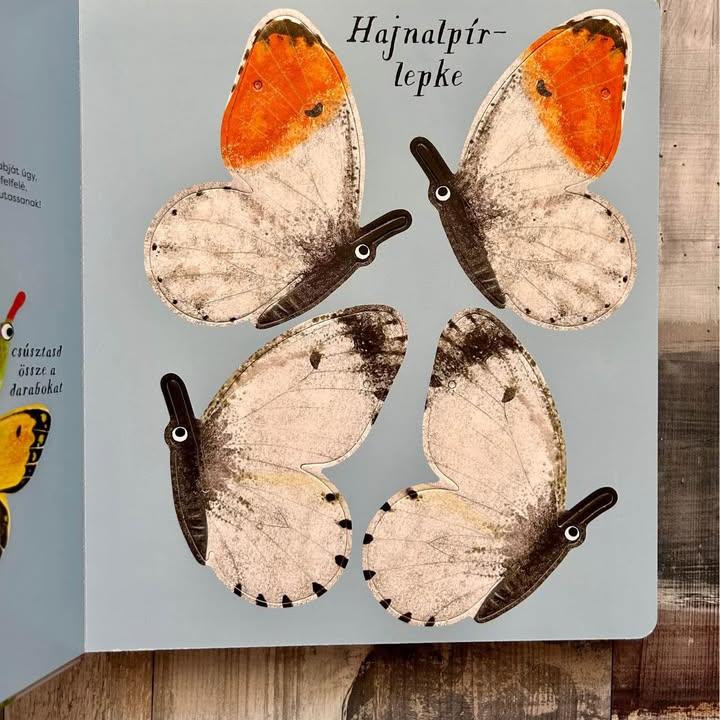 Vadonatúj Pillangót szárnyáról