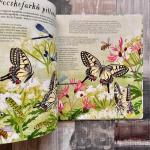 Vadonatúj Pillangót szárnyáról