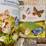 Vadonatúj Pillangót szárnyáról