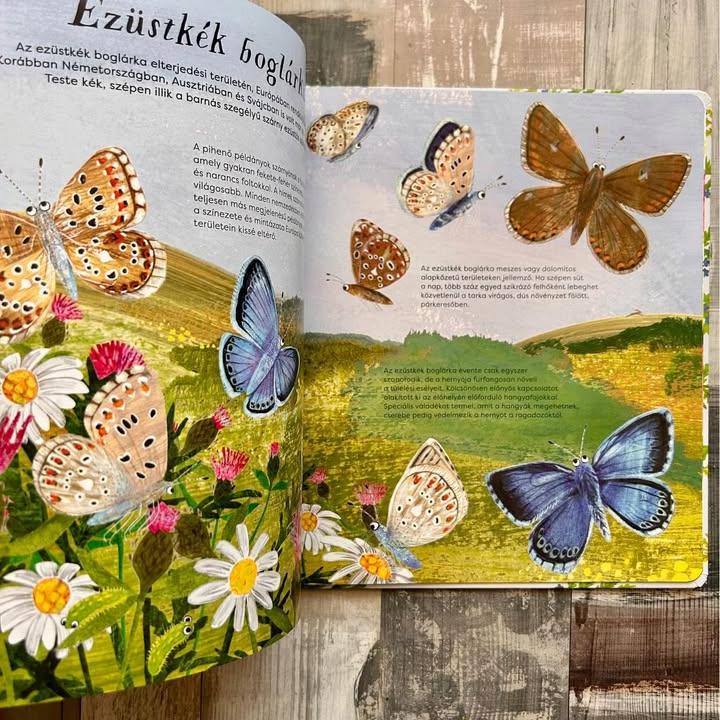 Vadonatúj Pillangót szárnyáról