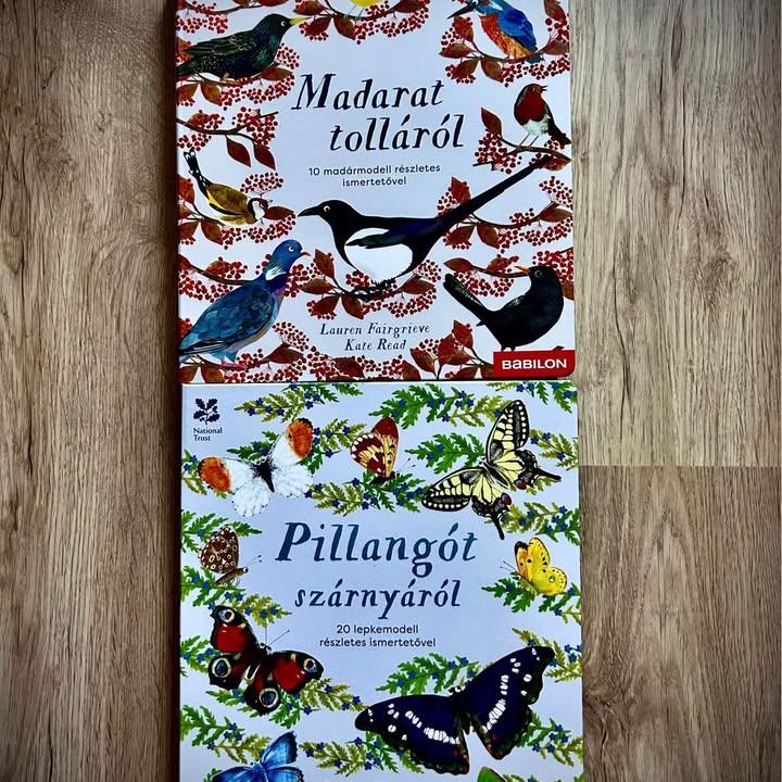 Vadonatúj Pillangót szárnyáról