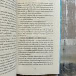 Álmomban megleltelek (élfestett)(új kiadás)