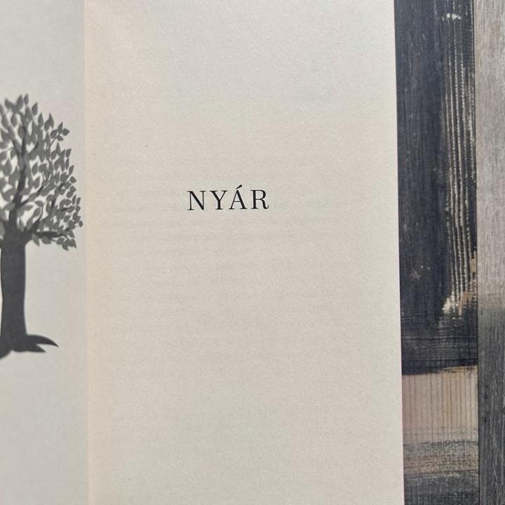 Balerinák - Éldekorált kiadás