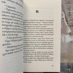 Hogyan írtam véletlenül egy könyvet?