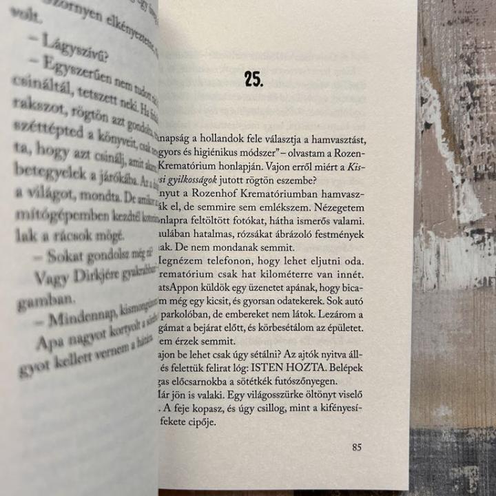 Hogyan írtam véletlenül egy könyvet?