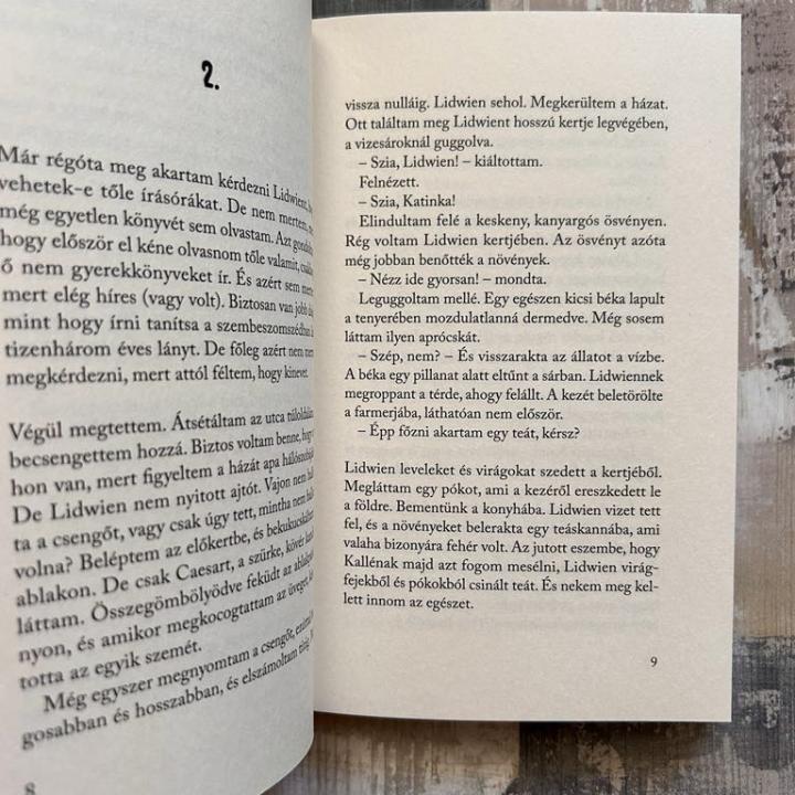 Hogyan írtam véletlenül egy könyvet?