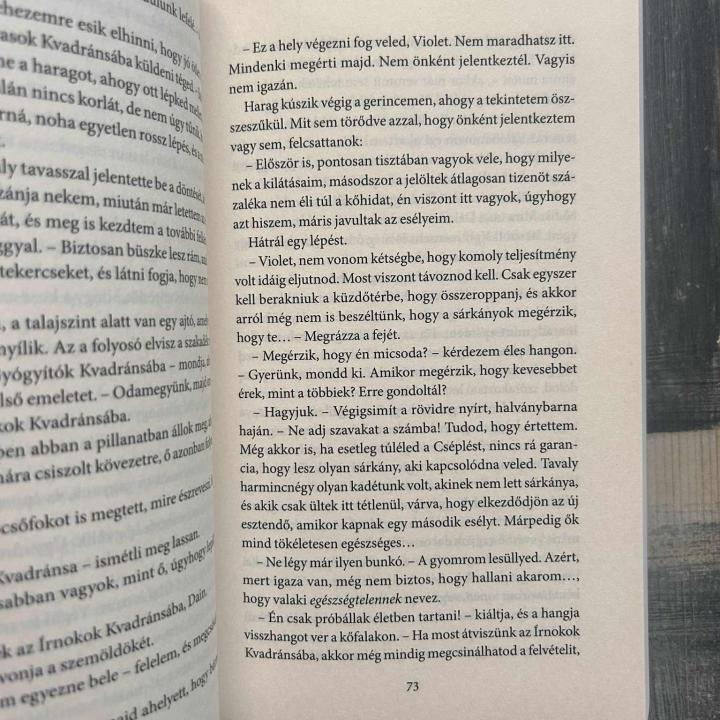 Fourth Wing – Negyedik szárny